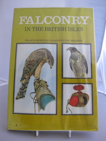 Falconry