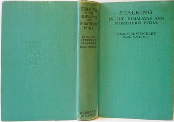 Stalking