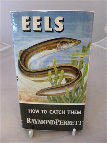 Eels