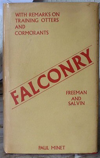 Falconry