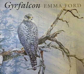 Gyrfalcon