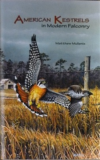 American Kestrels In Modern Falconry