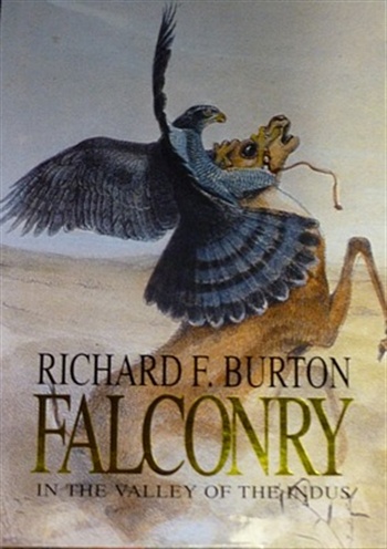 Falconry