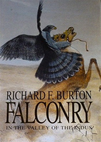 Falconry