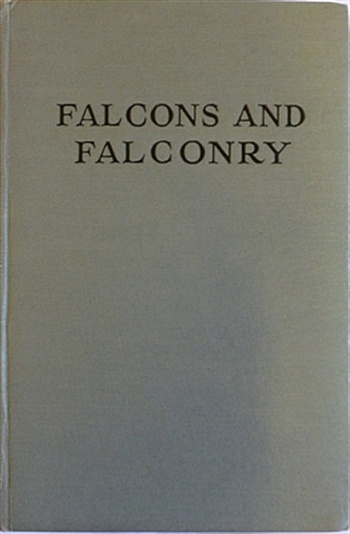 Falcons