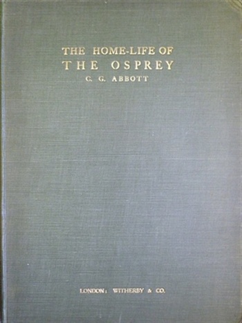 The Home-Life Of The Osprey