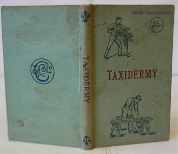 Taxidermy