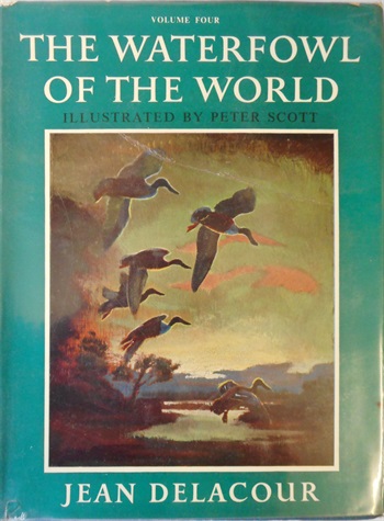 The