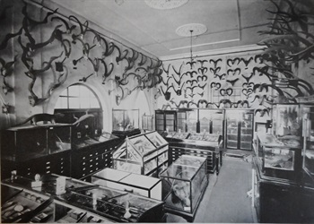 The Bombay Natural History Society 1883-1933, printed in commeration of the Golden Jubilee of the society