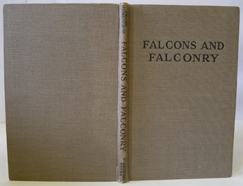 Falcons