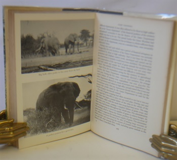 No More the Tusker