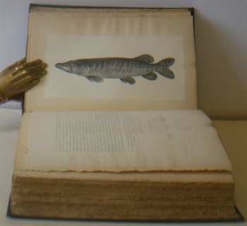 The Book Of The All Round Angler, A Comprehensive Treatise Of Angling In Both Fresh And Salt Water