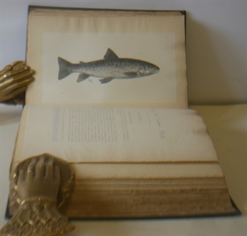 The Book Of The All Round Angler, A Comprehensive Treatise Of Angling In Both Fresh And Salt Water