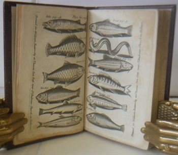 The Anglers Vade Mecum: Or A Compendious Yet Full Discourse On Angling, Third Edition, Illustrated with Sculptures And very much Enlarged