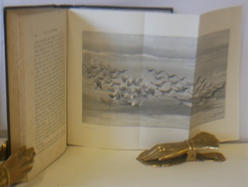 First Lessons In The Art Of Wildfowling
