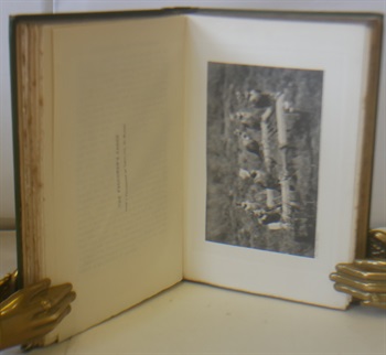 Reminiscences Of A Falconer