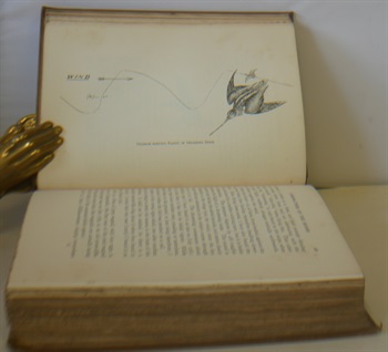 Bird Life of The Boarders Records Of Wild Sport And Natural History On Moorland And Sea