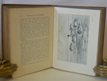 Bird Life of The Boarders Records Of Wild Sport And Natural History On Moorland And Sea