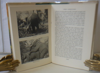 Reade Elephant Hunter