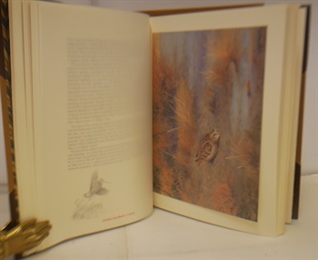 The Woodcock, A Study in Words and Pictures