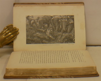 Wild Beasts and Their Ways. Reminiscences of Europe Asia Africa and America