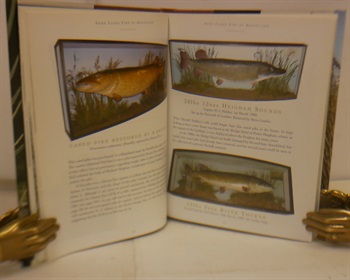 The Pike Of Broadland