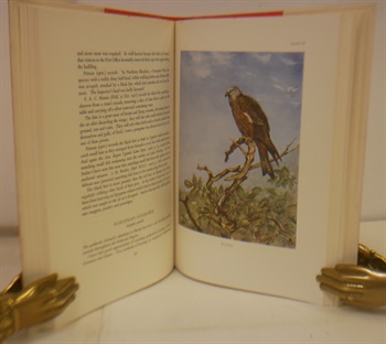 PIRATES AND PREDATORS. The Piratical And Predatory Habits of Birds.