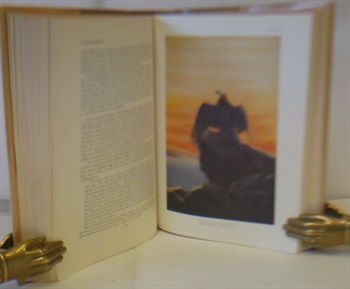 PIRATES AND PREDATORS. The Piratical And Predatory Habits of Birds.