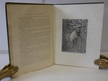HUNTING TRIPS IN NORTHERN RHODESIA; With accounts of sport and travel in Nyasaland and Portuguese East Africa, and also notes on the game animals and their distribution