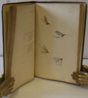 The Fly Fisher's Entomology Illustrated by Coloured Representations of the Natural and Artificial Insect and Accompanied by a Few Observations and Instructions Relating to Trout and Grayling Fishing