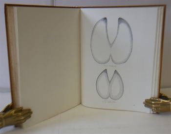 Central African Game And It's Spoor