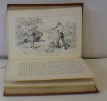 A Hunters Wanderings In Africa Being A Narrative Of Nine Years Spent Among The Game Of The Far Interior Of South Africa