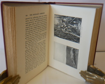 A British Borderland Service And Sport In Equatoria