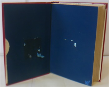 The Rise Of Our East African Empire, Early Efforts In Nyasaland And Uganda