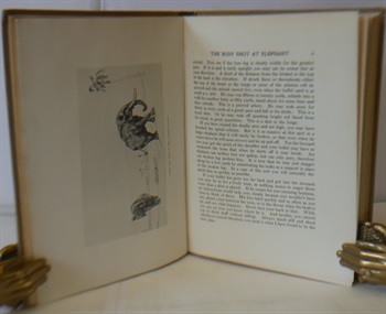 The Wanderings Of An Elephant Hunter