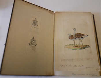 The Ornithology of Francis Willughby of Middleton in the county of Warwick Esq; fellow of the Royal Society. In three books. Wherein all the birds hitherto known, being reduced into a method sutable to their natures, are accurately described. The descriptions illustrated by most elegant figures, nearly resembling the live birds, engraven in LXXVII copper plates. Translated into English and enlarged with many additions throughout the whole work. To which are added, three considerable discourses, I. Of the art of fowling: with a description of several nets in two large copper plates. II. Of the ordering of singing birds. III. Of falconry. By John Ray, fellow of the Royal Society.