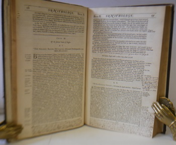 The Ornithology of Francis Willughby of Middleton in the county of Warwick Esq; fellow of the Royal Society. In three books. Wherein all the birds hitherto known, being reduced into a method sutable to their natures, are accurately described. The descriptions illustrated by most elegant figures, nearly resembling the live birds, engraven in LXXVII copper plates. Translated into English and enlarged with many additions throughout the whole work. To which are added, three considerable discourses, I. Of the art of fowling: with a description of several nets in two large copper plates. II. Of the ordering of singing birds. III. Of falconry. By John Ray, fellow of the Royal Society.