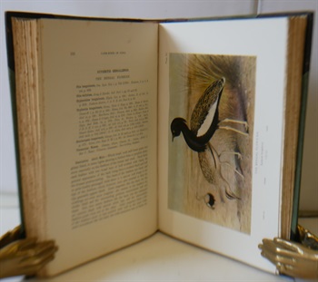 Game Birds Of India, Burma and Ceylon. Vol I Ducks and Their Allies, Vol. II Snipe, Bustards and Sand Grouse, Vol. III Pheasants and Bustard-Quail