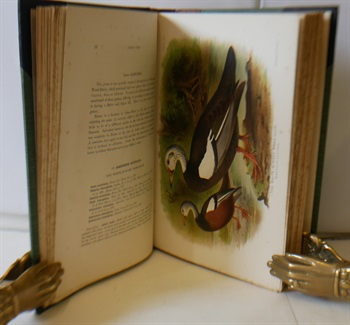 Game Birds Of India, Burma and Ceylon. Vol I Ducks and Their Allies, Vol. II Snipe, Bustards and Sand Grouse, Vol. III Pheasants and Bustard-Quail