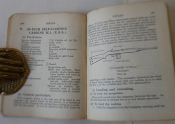 Small Arms Manual