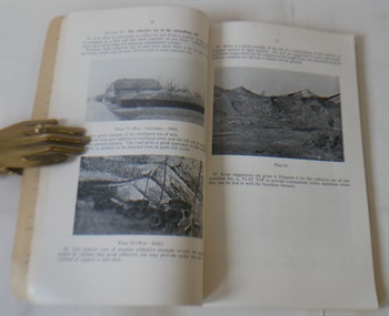 Concealment In The Field 1957