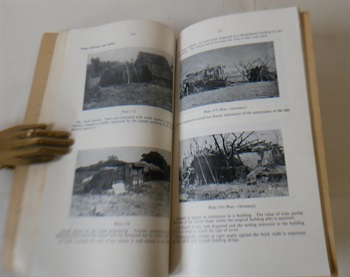 Concealment In The Field 1957