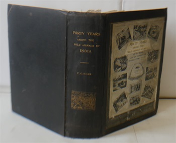 Forty Years Among The Wild Animals Of India From Mysore To The Himalayas