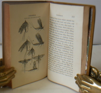 Salmonia or Days Of Fly Fishing In A Series Of Conversations With Accounts Of The Habits Of Fishes Belonging To The Genus Salmo