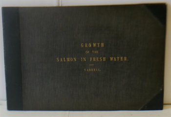On the growth of the Salmon in Fresh Water. With six coloured illustrations of the fish, of the natural size, exhibiting its character and exact appearance at various stages during the first two years.