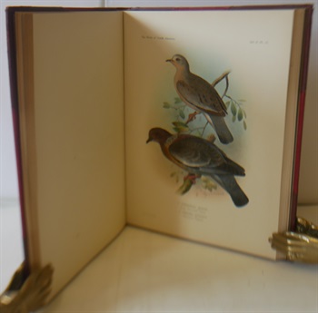 Illustrations Of The Game Birds And Water, Fowl Of South America