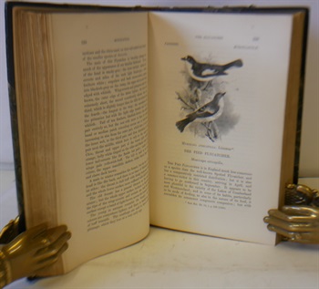 A History Of Britsih Birds Vol I-IV