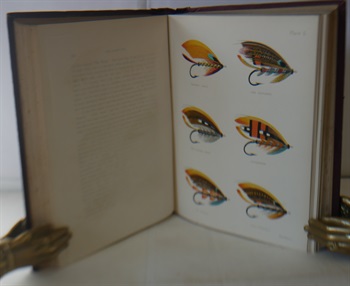 The Salmon Fly