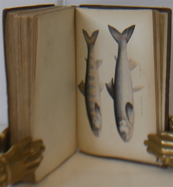 The Book Of The Salmon In Two Parts. Part I: The Theory, Principles, And Practice Of Fly Dressing For Salmon, With Lists Of Salmon Flies For Every Good River In The Empire. Part II: The Natural History Of The Salmon, All Its Known Habits Described, And The Best Way Of Artificially Breeding It Explained