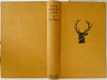 Deer